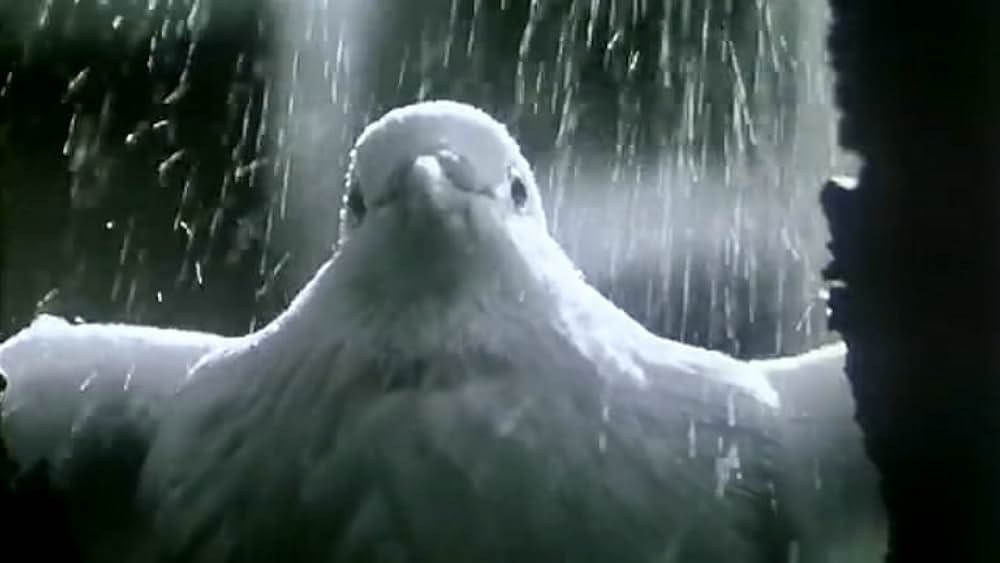 大陸英雄伝の画像