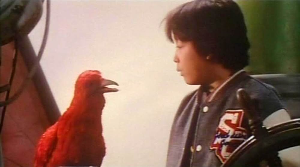 赤いカラスと幽霊船の画像