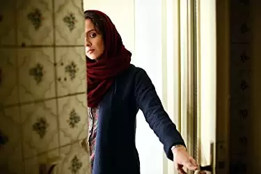 「セールスマン」タラネ・アリドゥスティの画像