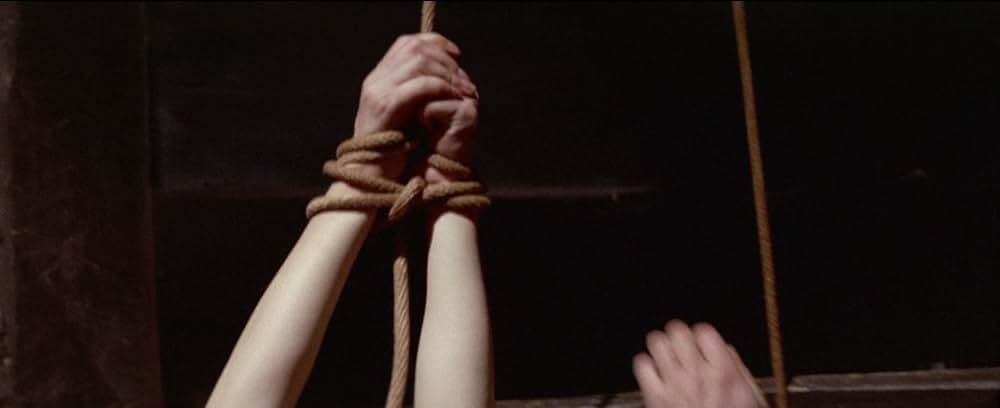 お柳情炎 縛り肌の画像