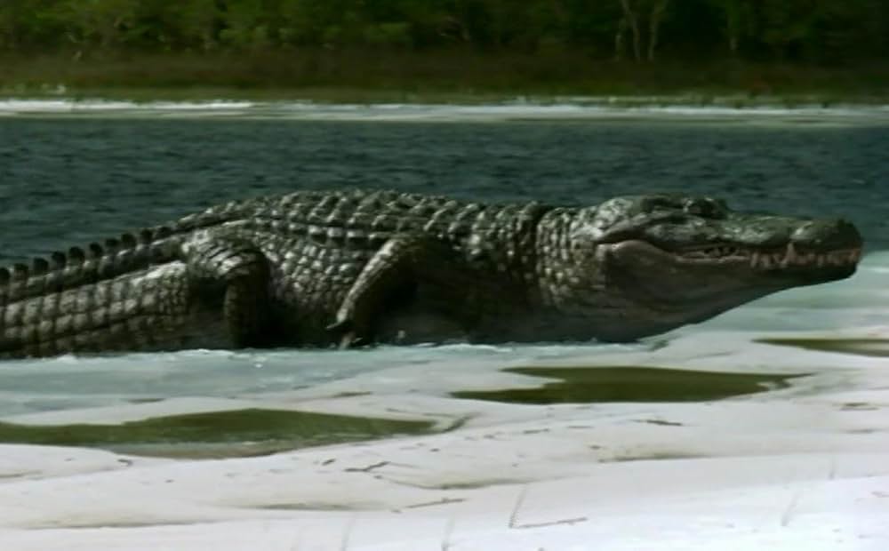 よみがえる恐竜の世界 プレヒストリック・パークの画像