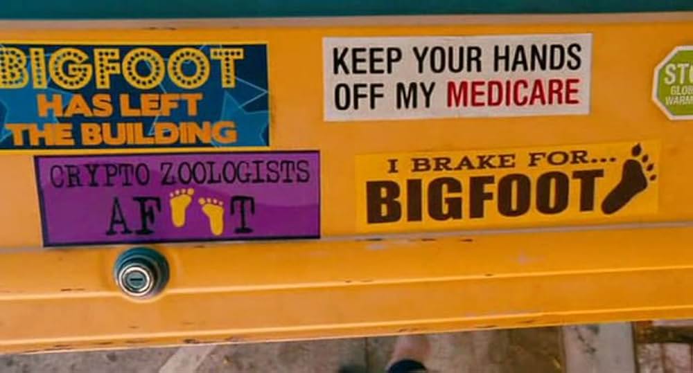 ジュディの夏休み大作戦の画像