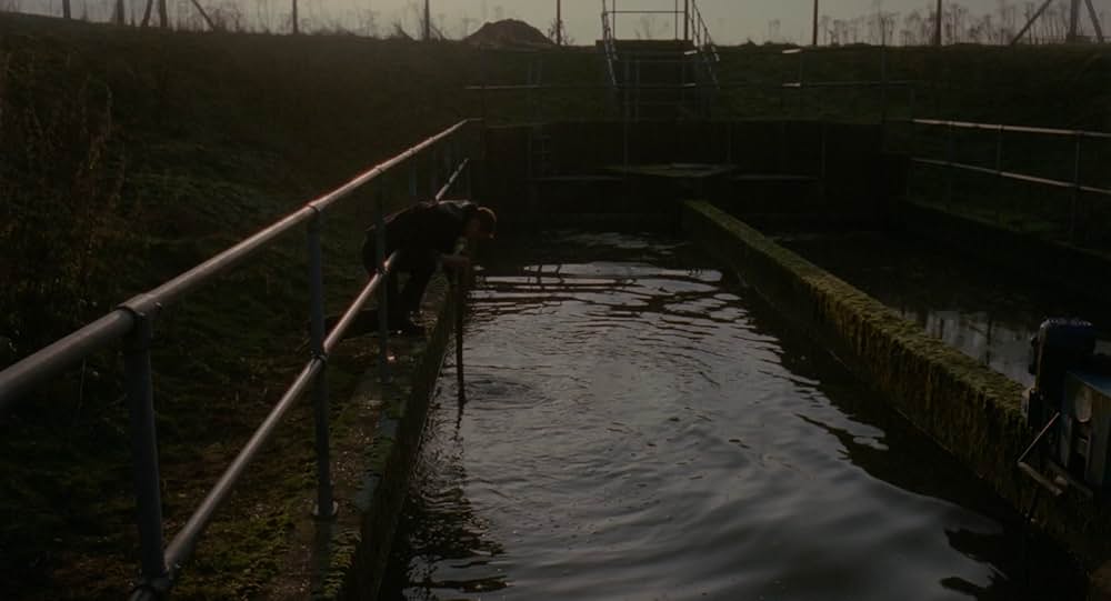 Possum（原題）の画像