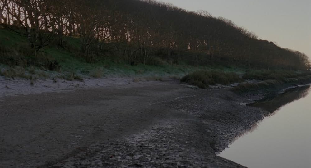 Possum（原題）の画像