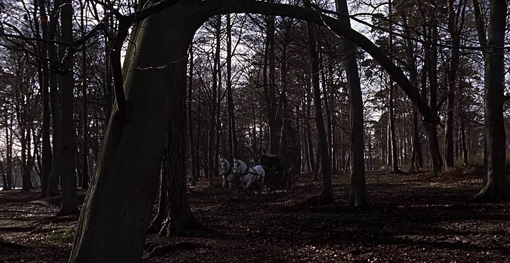 吸血鬼ドラキュラの花嫁の画像