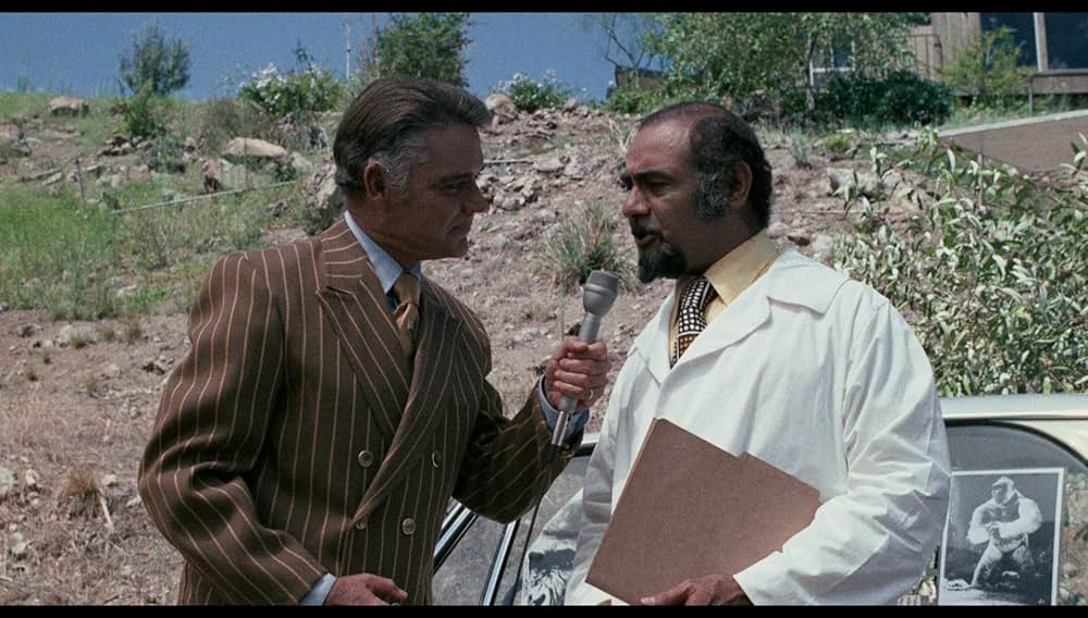 シュロックの画像