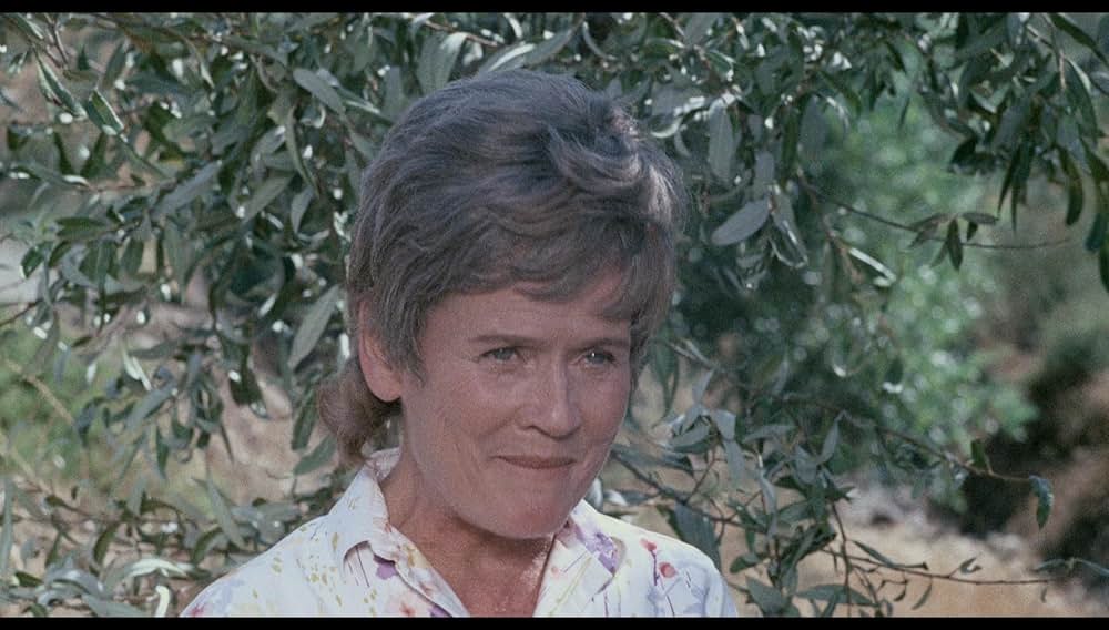 シュロックの画像