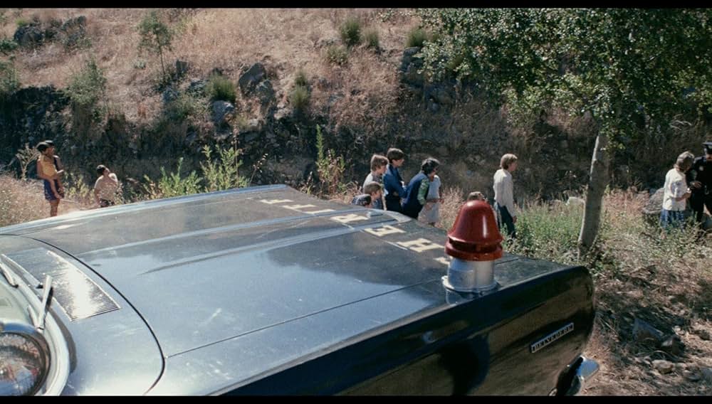 シュロックの画像