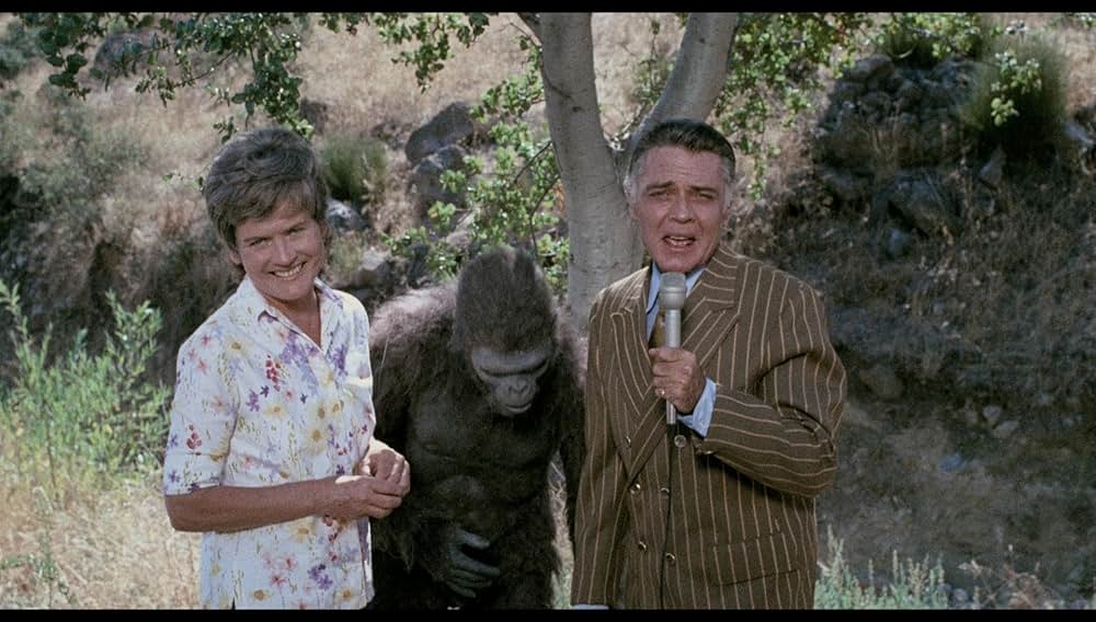 シュロックの画像