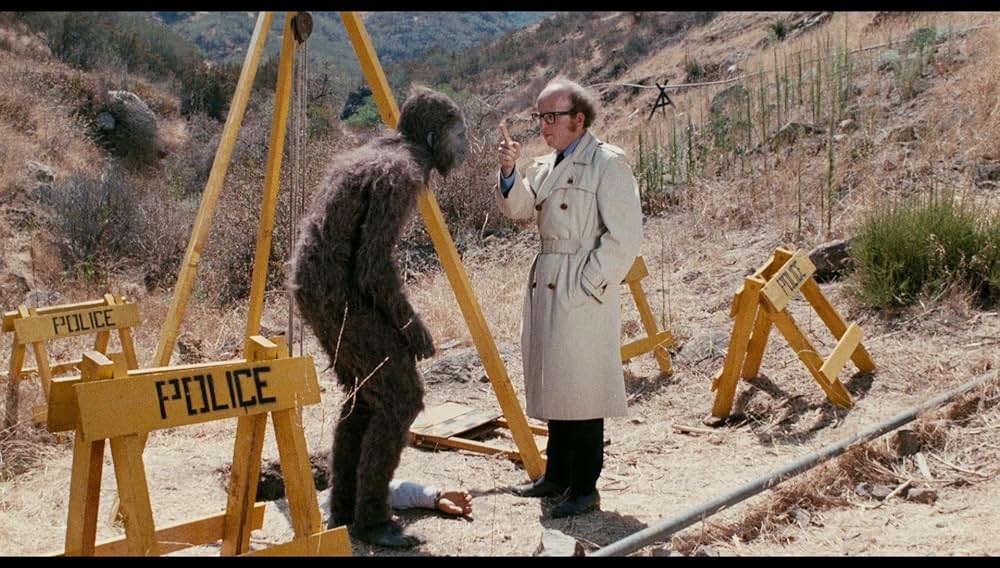 シュロックの画像