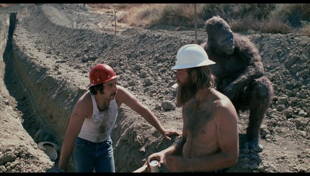 シュロックの画像