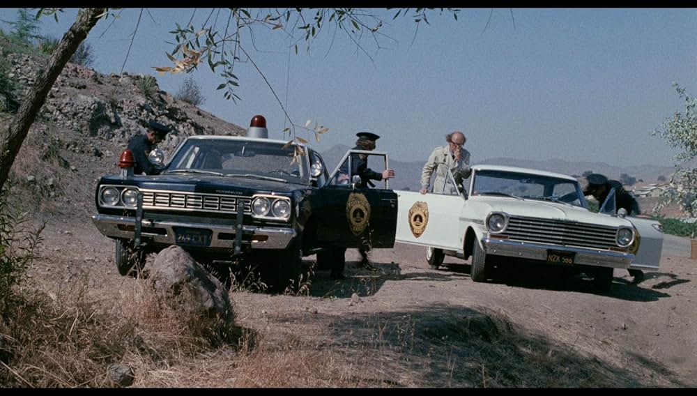 シュロックの画像