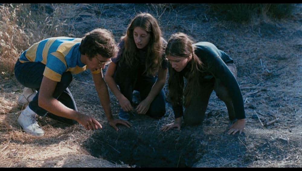 シュロックの画像