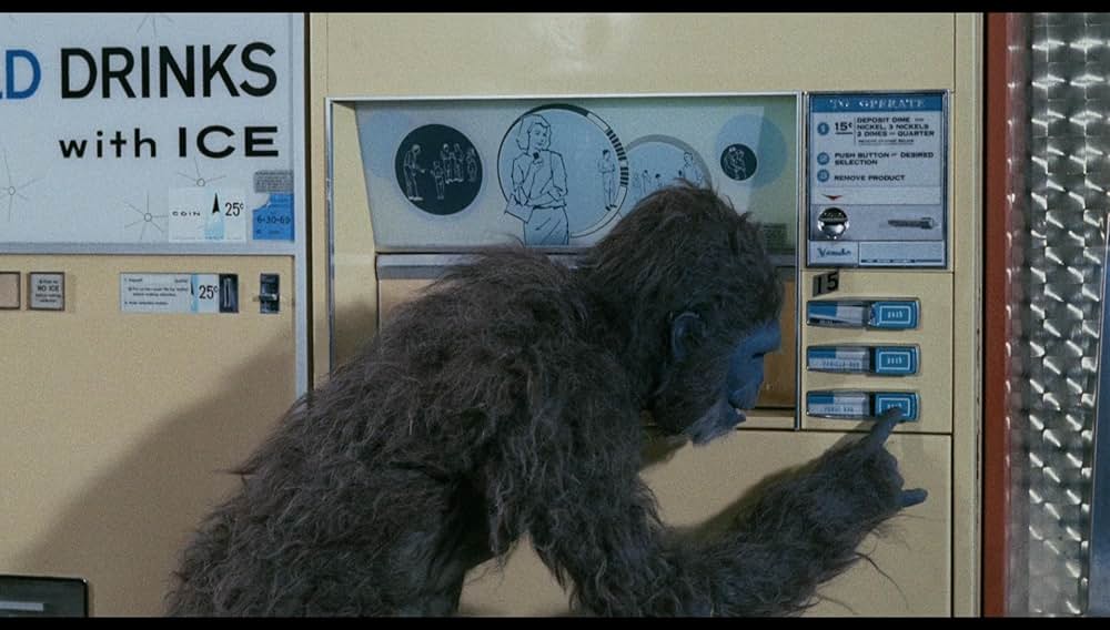 シュロックの画像