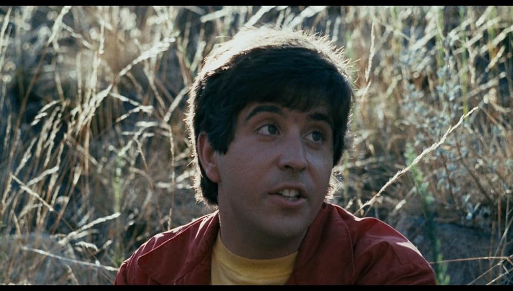 シュロックの画像