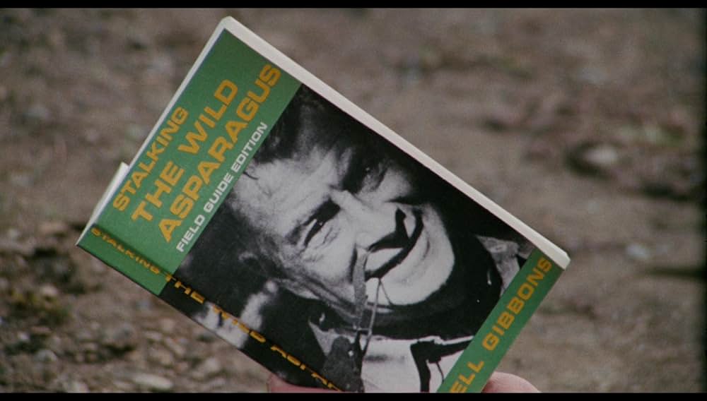 シュロックの画像