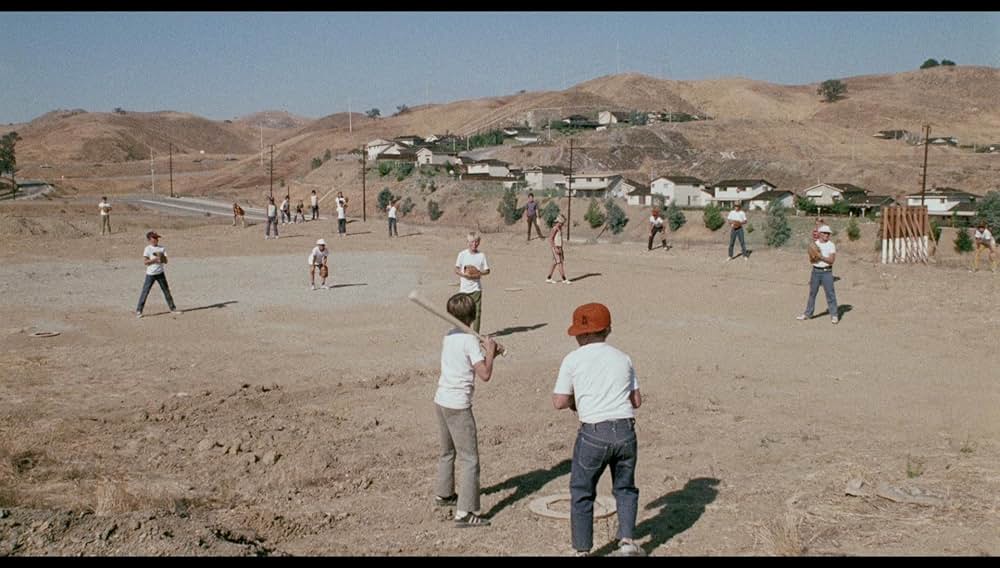 シュロックの画像