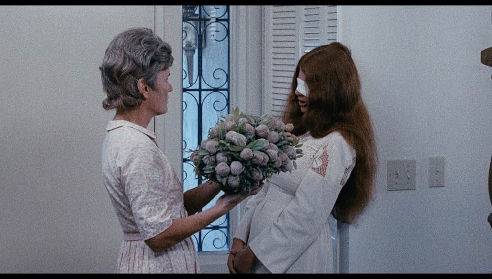 シュロックの画像