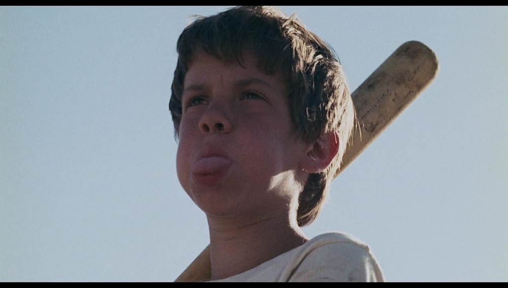 シュロックの画像