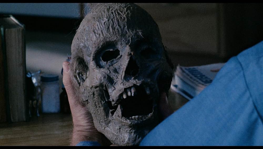 シュロックの画像