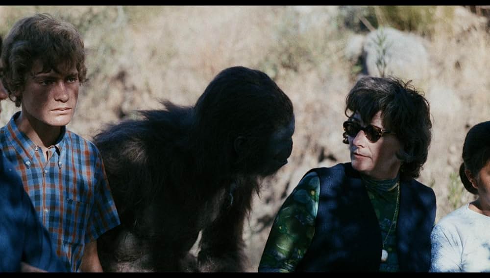 シュロックの画像