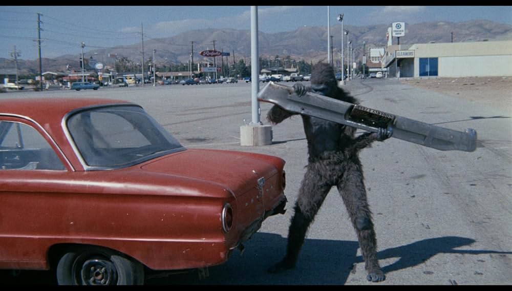 シュロックの画像