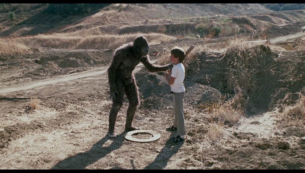 シュロックの画像