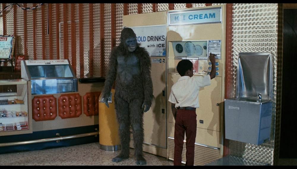 シュロックの画像