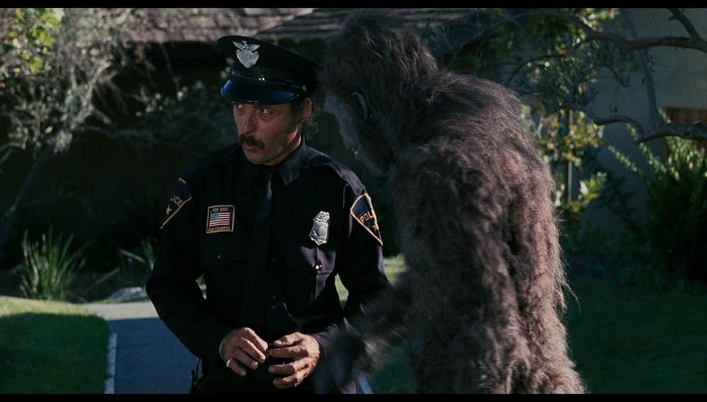 シュロックの画像