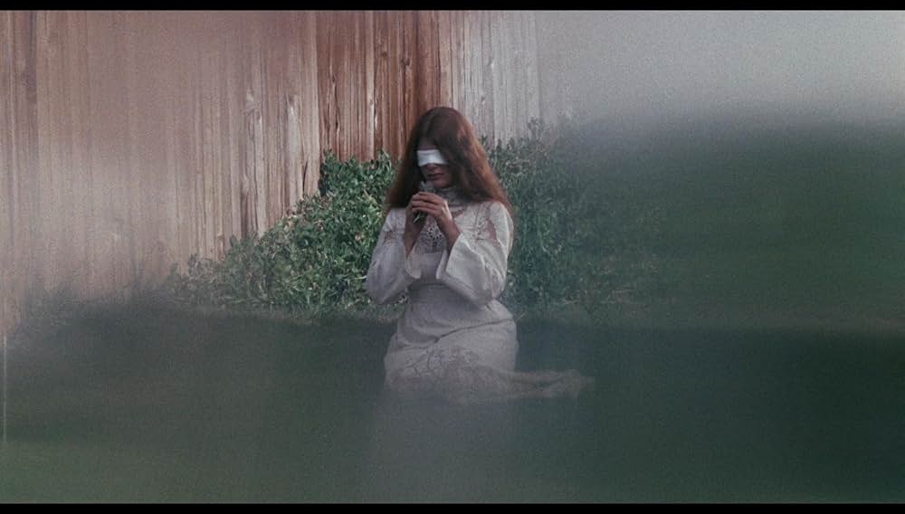 シュロックの画像