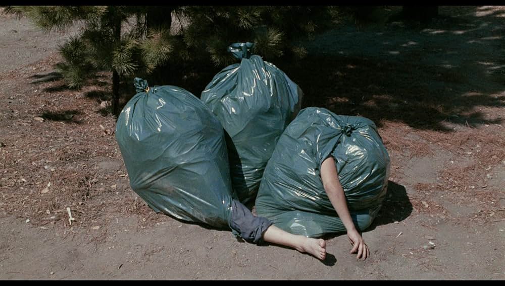 シュロックの画像