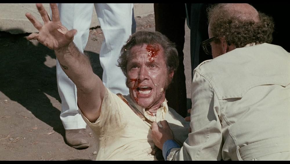 シュロックの画像