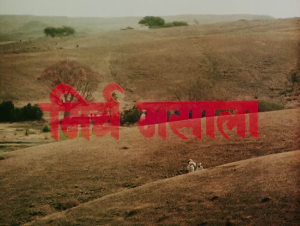 真赤なスパイスの画像