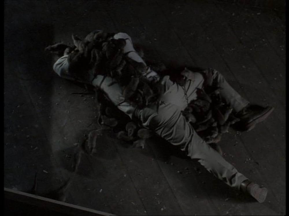 ザ・フィアー2の画像