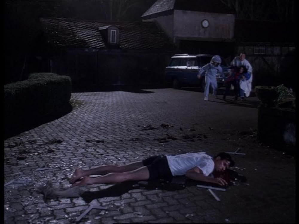 ザ・フィアー2の画像