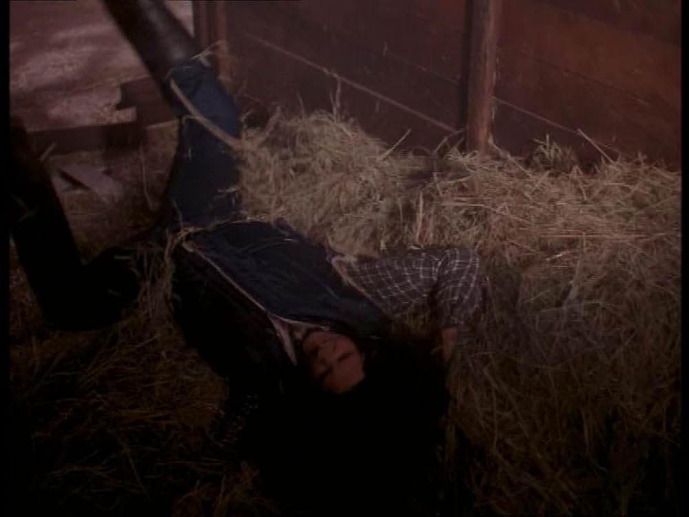 ザ・フィアー2の画像