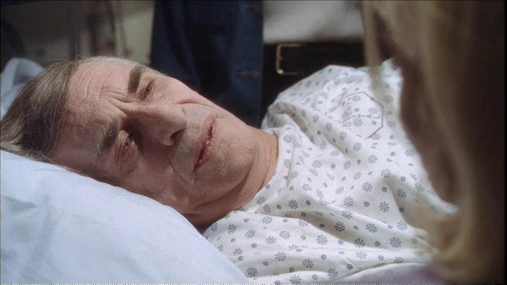 バップスの画像