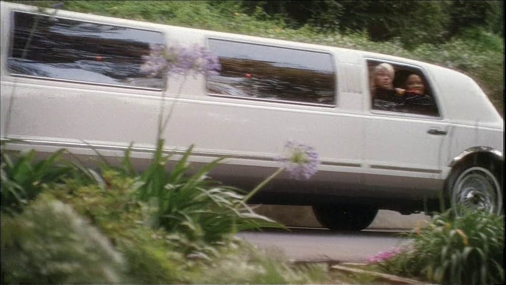 バップスの画像