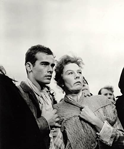 「息子と恋人」ディーン・ストックウェル & ウェンディ・ヒラーの画像