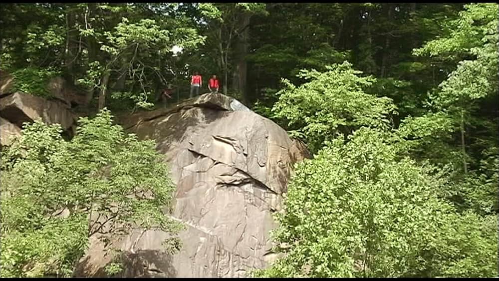 Trigger Man（原題）の画像