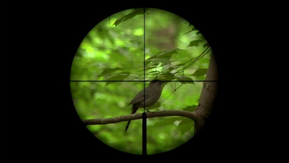 Trigger Man（原題）の画像