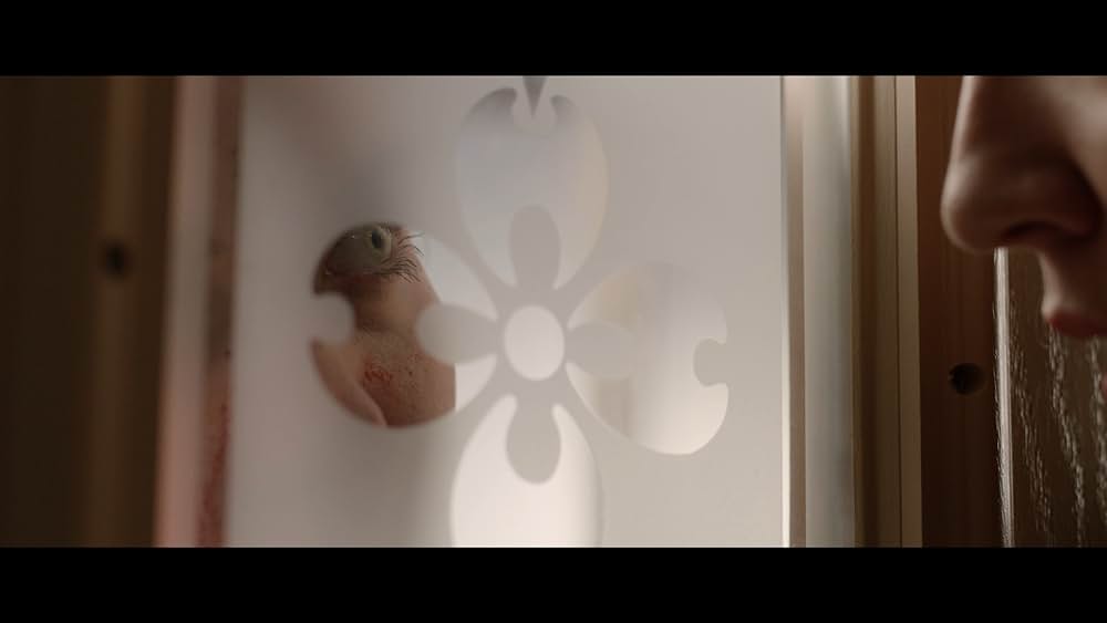 Superhost（原題）の画像