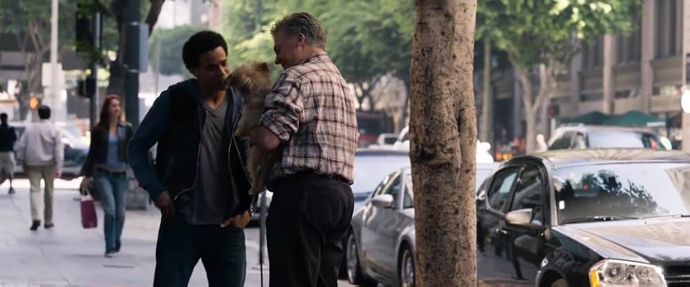 きのうの夜は…の画像