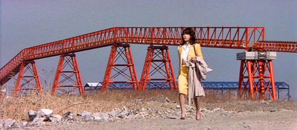 「ズームアップ ビニール本の女」の画像