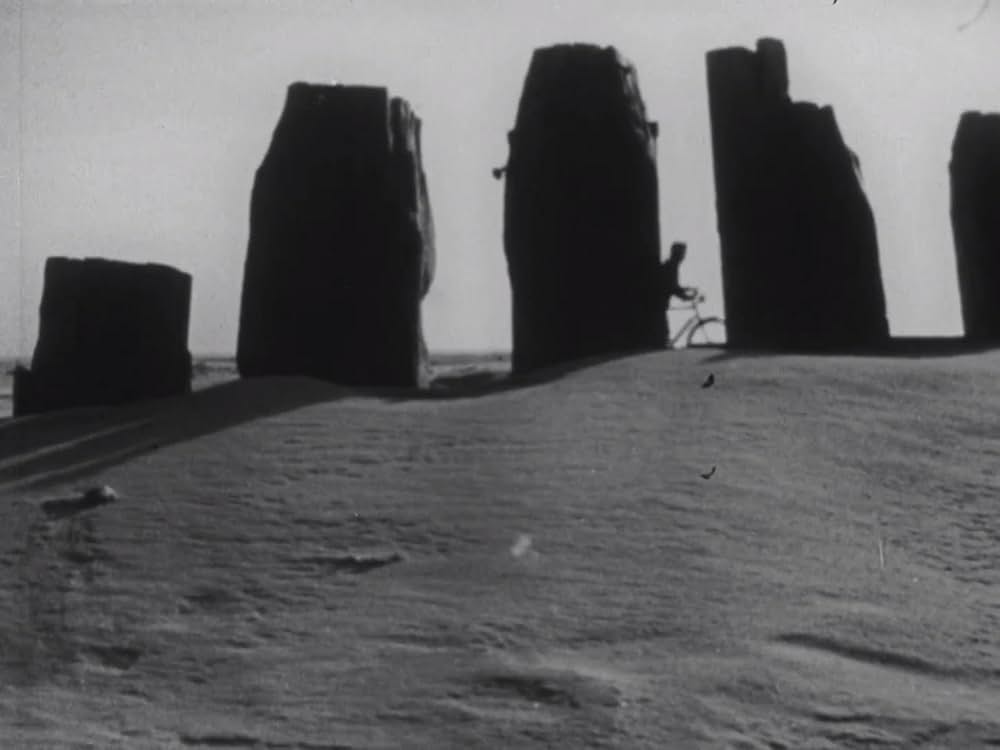 少年と自転車の画像