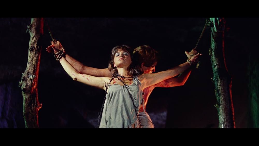 バイキングの復讐の画像