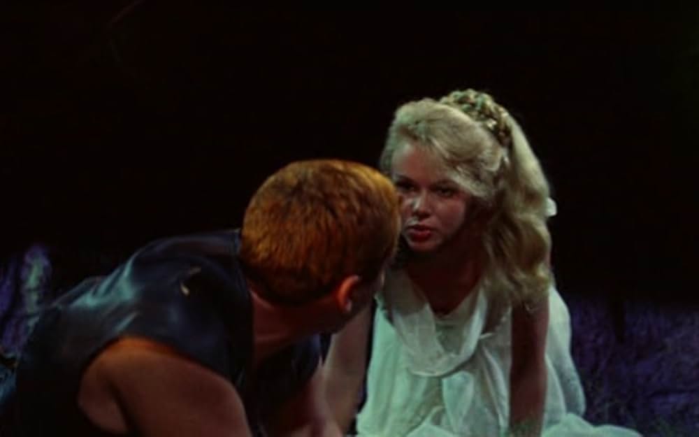 バイキングの復讐の画像