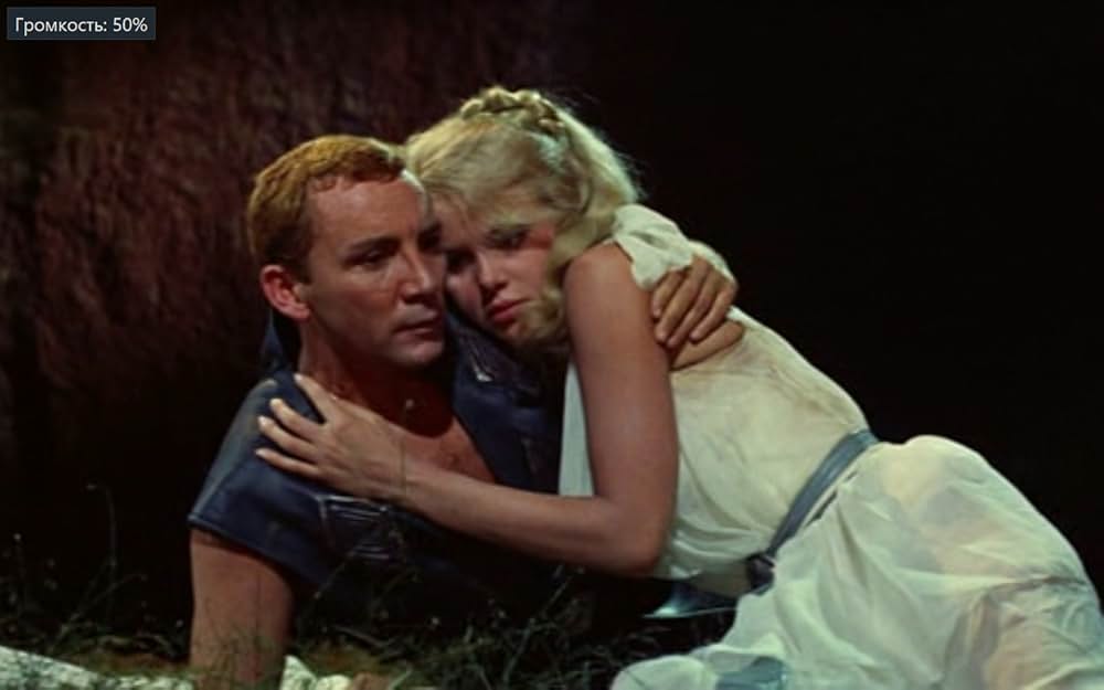 バイキングの復讐の画像