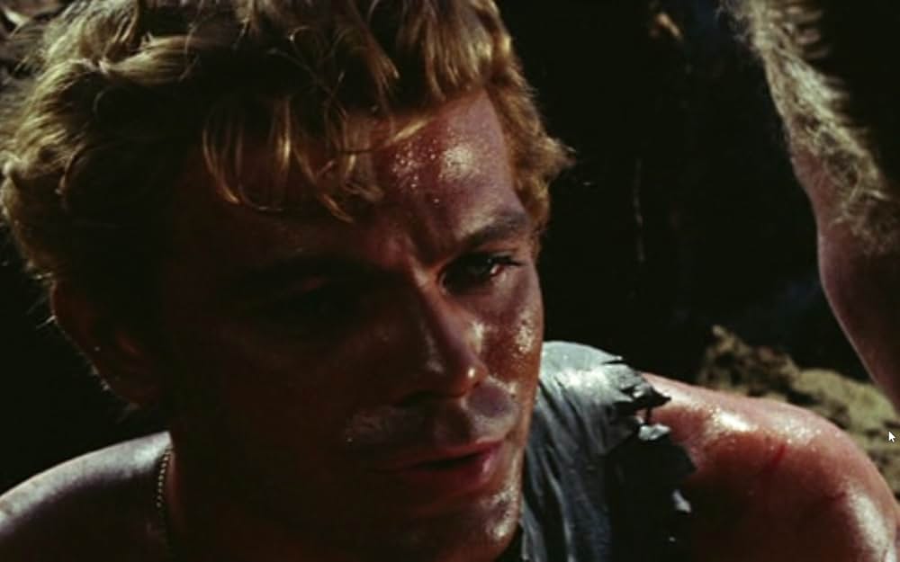 バイキングの復讐の画像