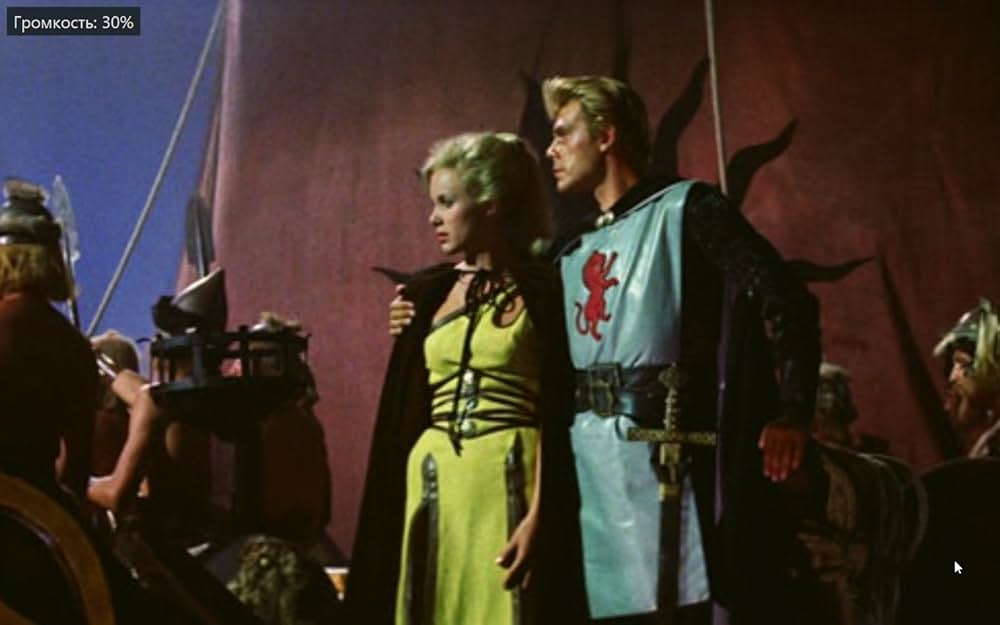 バイキングの復讐の画像